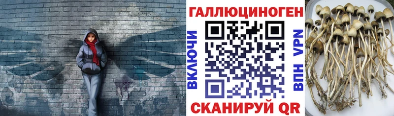 Галлюциногенные грибы MAGIC MUSHROOMS  как найти   Верхняя Тура 